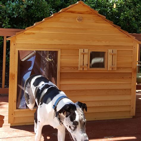 extra large metal dog houses|xx large insulated dog house.